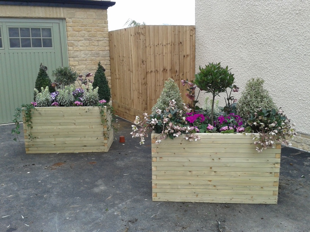 planters1.jpg
